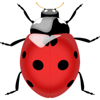 Ladybug Insect Red Free Clipart HQ