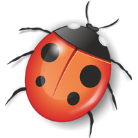 Ladybug Insect Red PNG Download Free