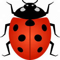Ladybug Insect Vector Pic Free Clipart HQ