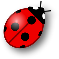 Ladybug Insect Vector Free Clipart HD