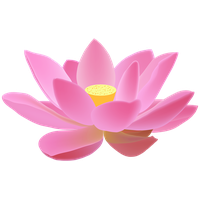 Pink Lotus Flower Download Free Image