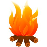 Lohri Orange Fire Plant For Happy 2020