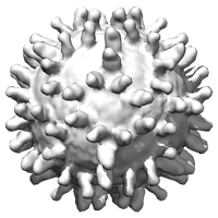 Coronavirus PNG Image High Quality