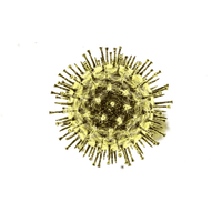 Coronavirus Disease PNG File HD