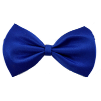 Blue Tie Bow Download HD