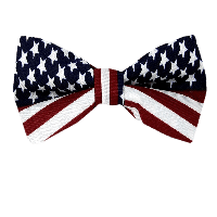 Tie Bow PNG Image High Quality