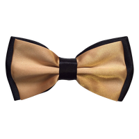 Tie Golden Bow Free PNG HQ