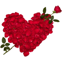 Rose Valentines Love Day Download Free Image