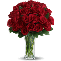 Rose Valentines Day PNG Free Photo
