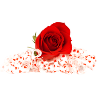 Rose Valentines Day Photos PNG Free Photo