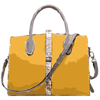 Leather Handbag Pic Free Download Image