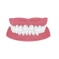 Healthy Tooth Free Transparent Image HD