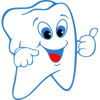 Vector Tooth PNG Image High Quality