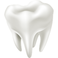 White Tooth Free PNG HQ