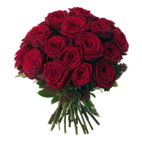 Bouquet Rose Red Photos Free HQ Image