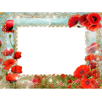 Poppy Frame Flower Free HD Image