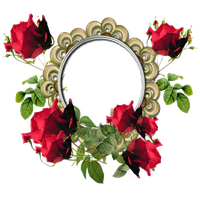 Poppy Frame Flower Round Free Download PNG HD