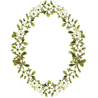 Oval Circle Flower Frame PNG Free Photo