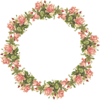 Pink Circle Flower Frame HQ Image Free