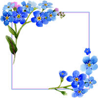 Blue Frame Flowers HQ Image Free