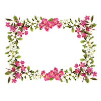 Frame Flower Artistic PNG Free Photo