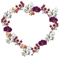 Frame Flower Romantic PNG Download Free