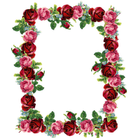 Floral Rose Border Free Clipart HQ