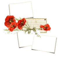 Poppy Frame Flower PNG File HD