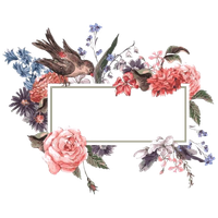 Watercolor Floral Frame Flower Free Download PNG HQ