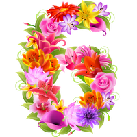 Floral Number Free PNG HQ