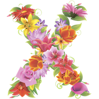 Alphabet Flower Picture PNG Free Photo