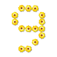Floral Number Free Clipart HD