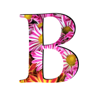 Picture B Letter Free PNG HQ