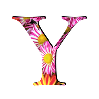 Y Picture Letter Free Photo