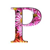 P Letter PNG Free Photo