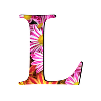Picture L Letter Free PNG HQ