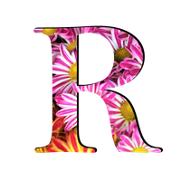 Picture R Letter HQ Image Free
