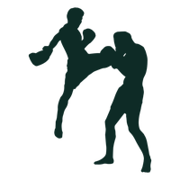 Taekwondo Silhouette Fighting HD Image Free