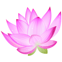 Purple Lotus Flower Download HQ