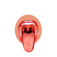 Funny Tongue Cartoon Free HD Image