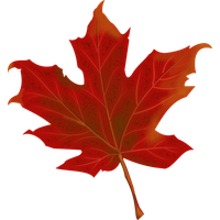 Autumn Vector Leaf Free Download PNG HQ