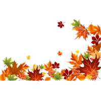 Autumn Falling Vector Leaf Free Download PNG HD