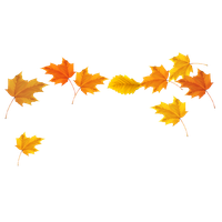 Autumn Falling Vector Leaf Download Free Image