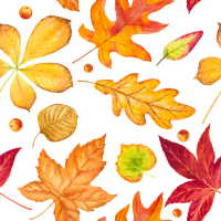Autumn Falling Vector Leaf PNG Download Free