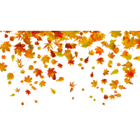 Autumn Falling Vector Leaf Download HQ