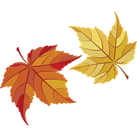 Autumn Golden Leaf PNG Download Free