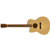 Guitar Acoustic Vector Free Download Image