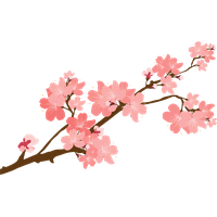 Blossom Flower Vector PNG Image High Quality