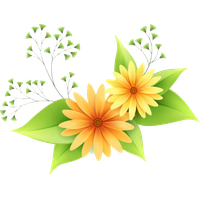 Vector Flower Free PNG HQ