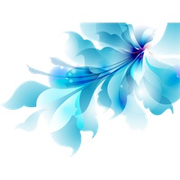 Vector Blue Flowers Free Photo